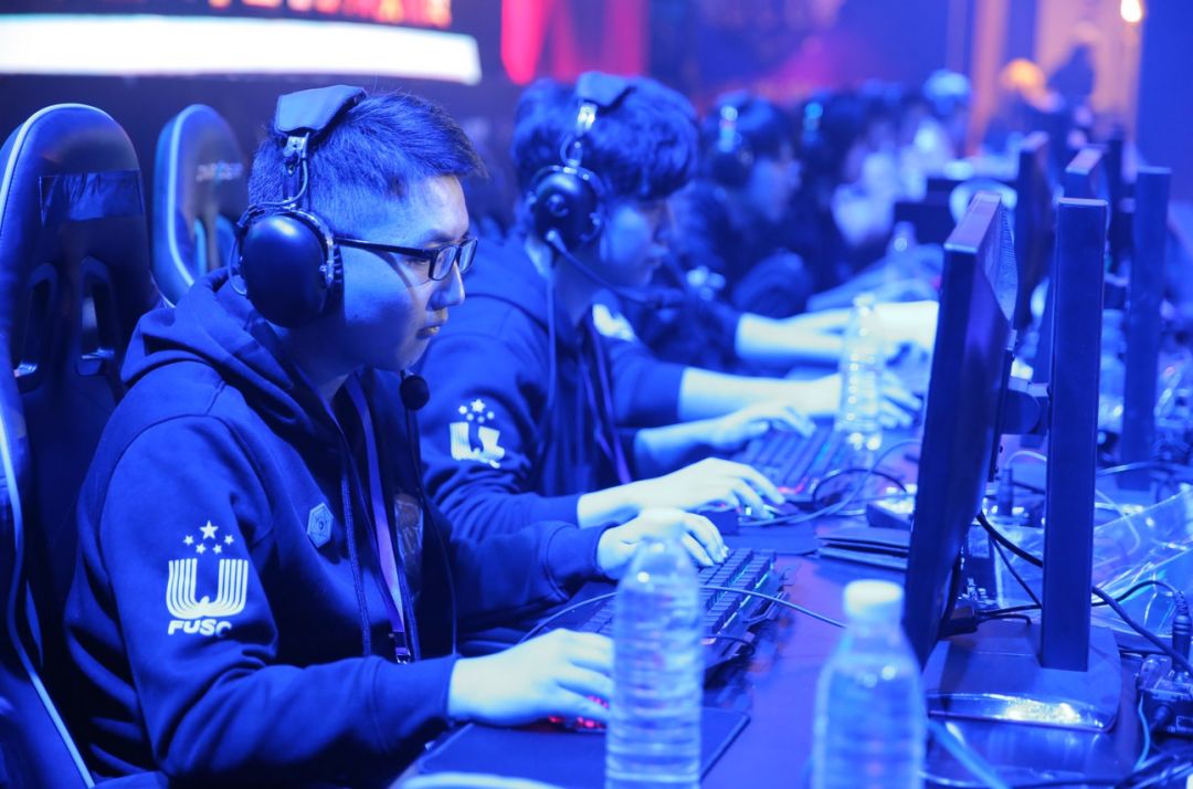 低脂肪的食 低脂肪的食