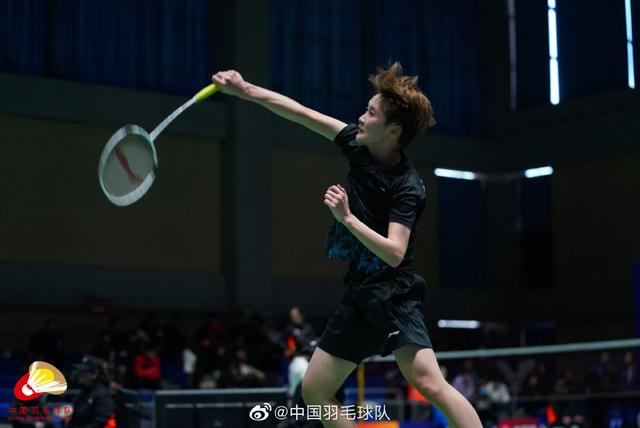 舍夫勒在这 舍夫勒在这